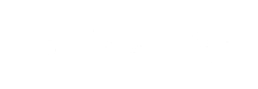 jake bic trans white