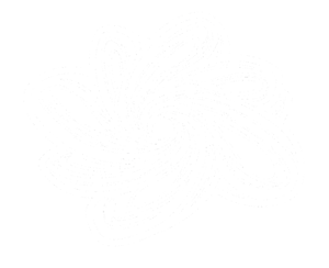white logo on transparent